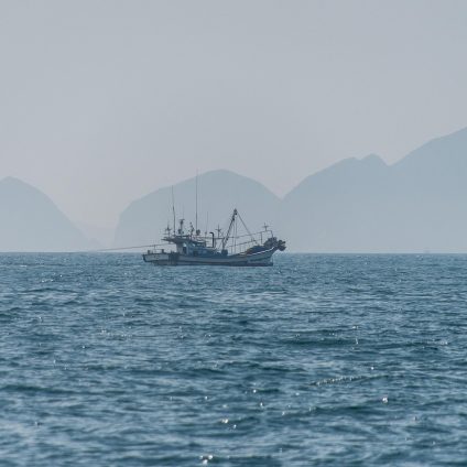 Rinnovabili • I criteri di priorità per i contributi compensativi a pesca e acquacoltura definiti dal Decreto MASAF