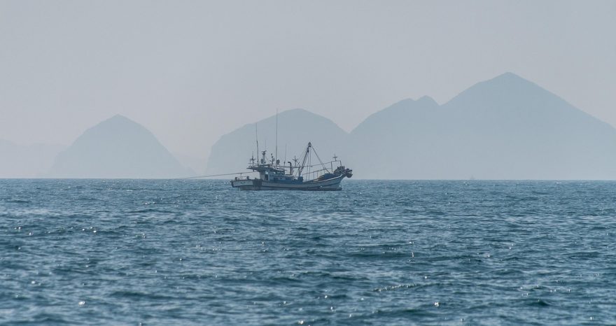Rinnovabili • I criteri di priorità per i contributi compensativi a pesca e acquacoltura definiti dal Decreto MASAF