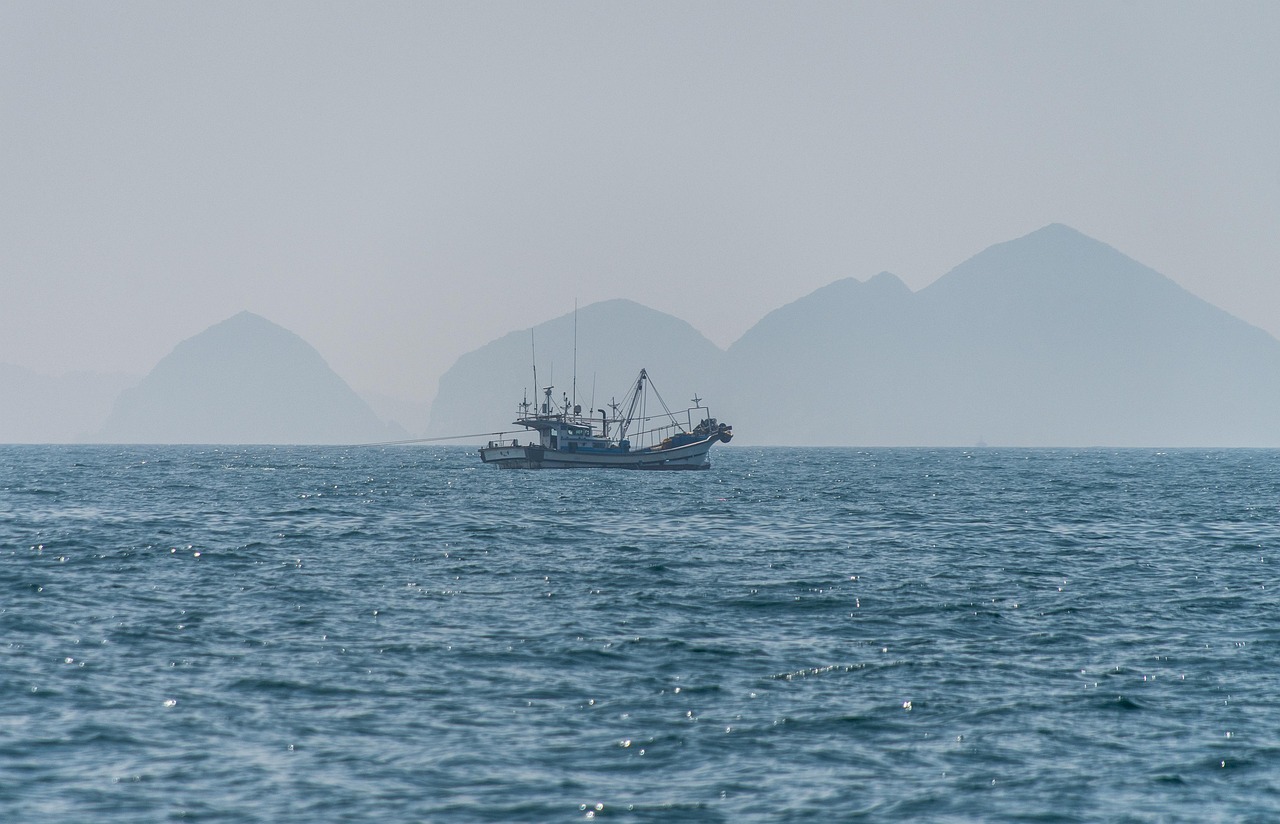 I criteri di priorità per i contributi compensativi a pesca e acquacoltura definiti dal Decreto MASAF