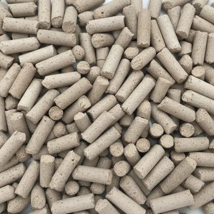 Rinnovabili • Bioceramica da alghe: un passo avanti per i materiali da costruzione sostenibili