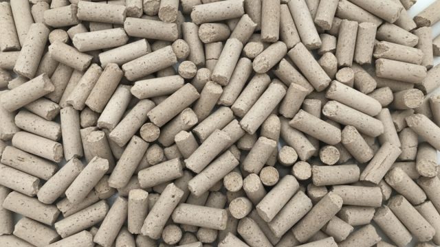 Rinnovabili • Bioceramica da alghe: un passo avanti per i materiali da costruzione sostenibili