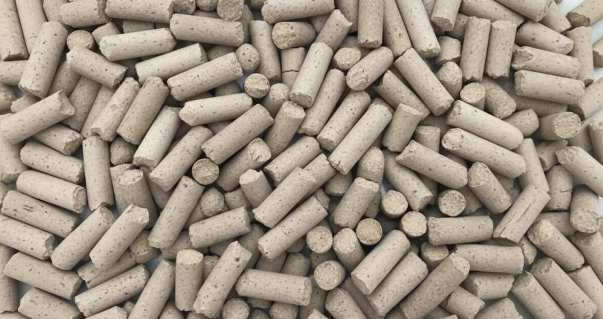 Rinnovabili • Bioceramica da alghe: un passo avanti per i materiali da costruzione sostenibili