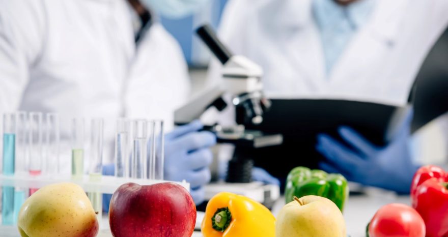 Rinnovabili • Nuovi alimenti, i tempi per le autorizzazioni ritardano l’innovazione alimentare?