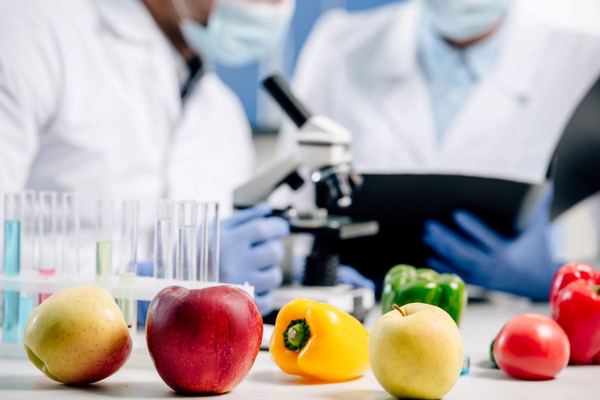 Nuovi alimenti, i tempi per le autorizzazioni ritardano l’innovazione alimentare?