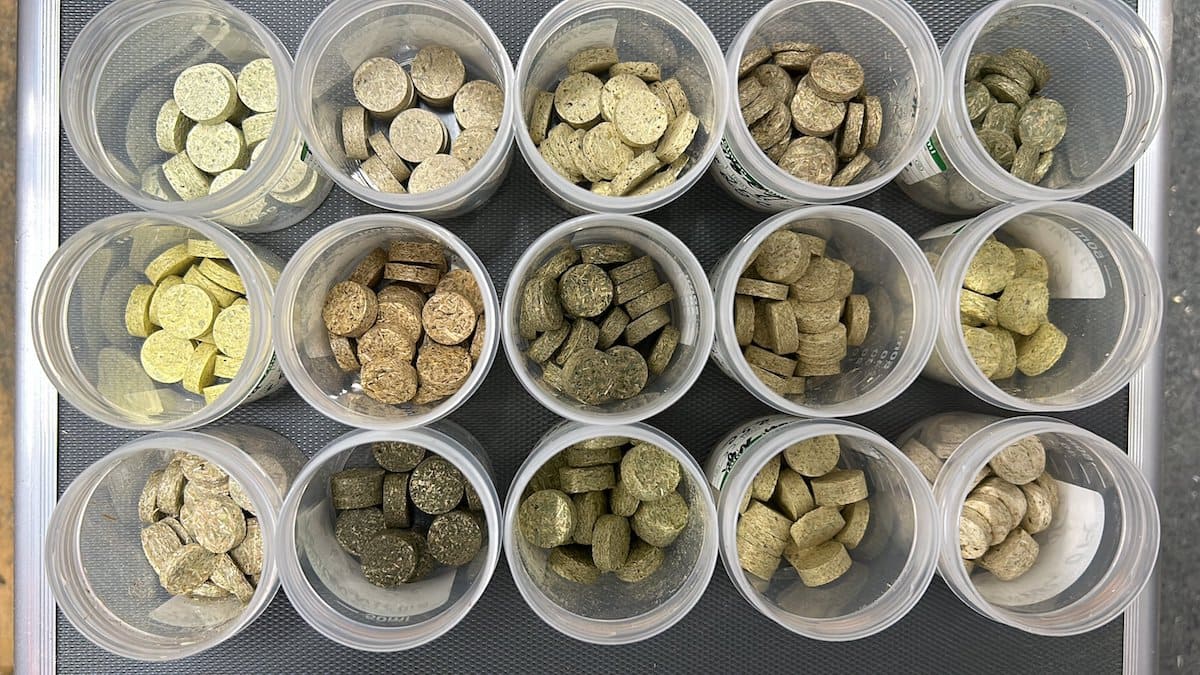 Piante infestanti trasformate in pellet, il potenziale energetico delle erbacce