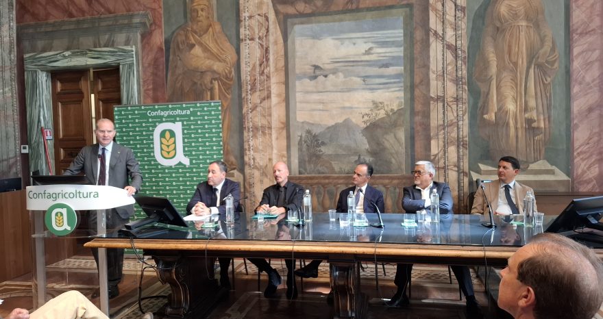 Rinnovabili • Finanza e imprese agroalimentari, il credito è strategico per la competitività