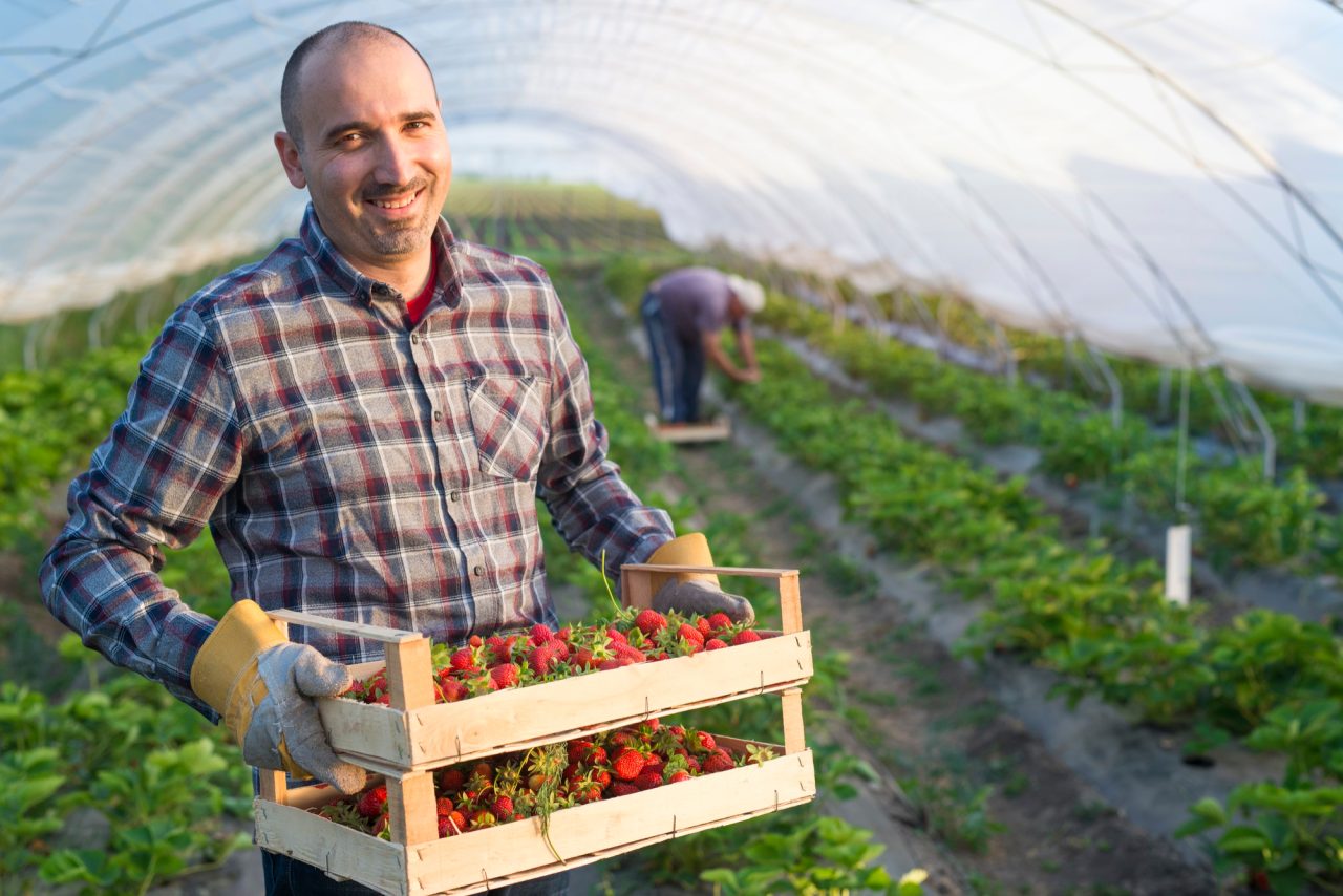 Rinnovabili • Commissione AGRI, le norme per rafforzare la posizione degli agricoltori nella filiera alimentare