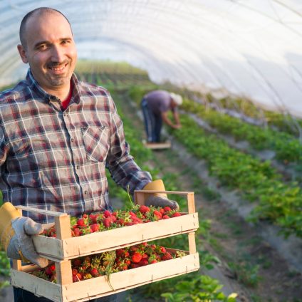 Rinnovabili • Commissione AGRI, le norme per rafforzare la posizione degli agricoltori nella filiera alimentare