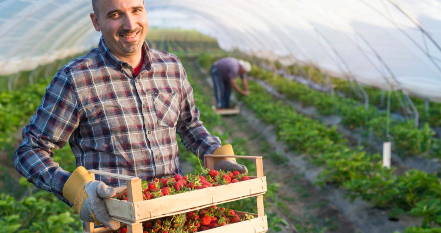Rinnovabili • Commissione AGRI, le norme per rafforzare la posizione degli agricoltori nella filiera alimentare