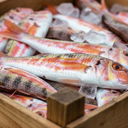Rinnovabili • sovvenzioni-alla-pesca-eccessiva-accordo-omc
