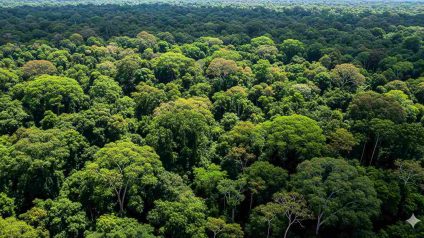 Rinnovabili • cop-30-brasile-clima-commercio