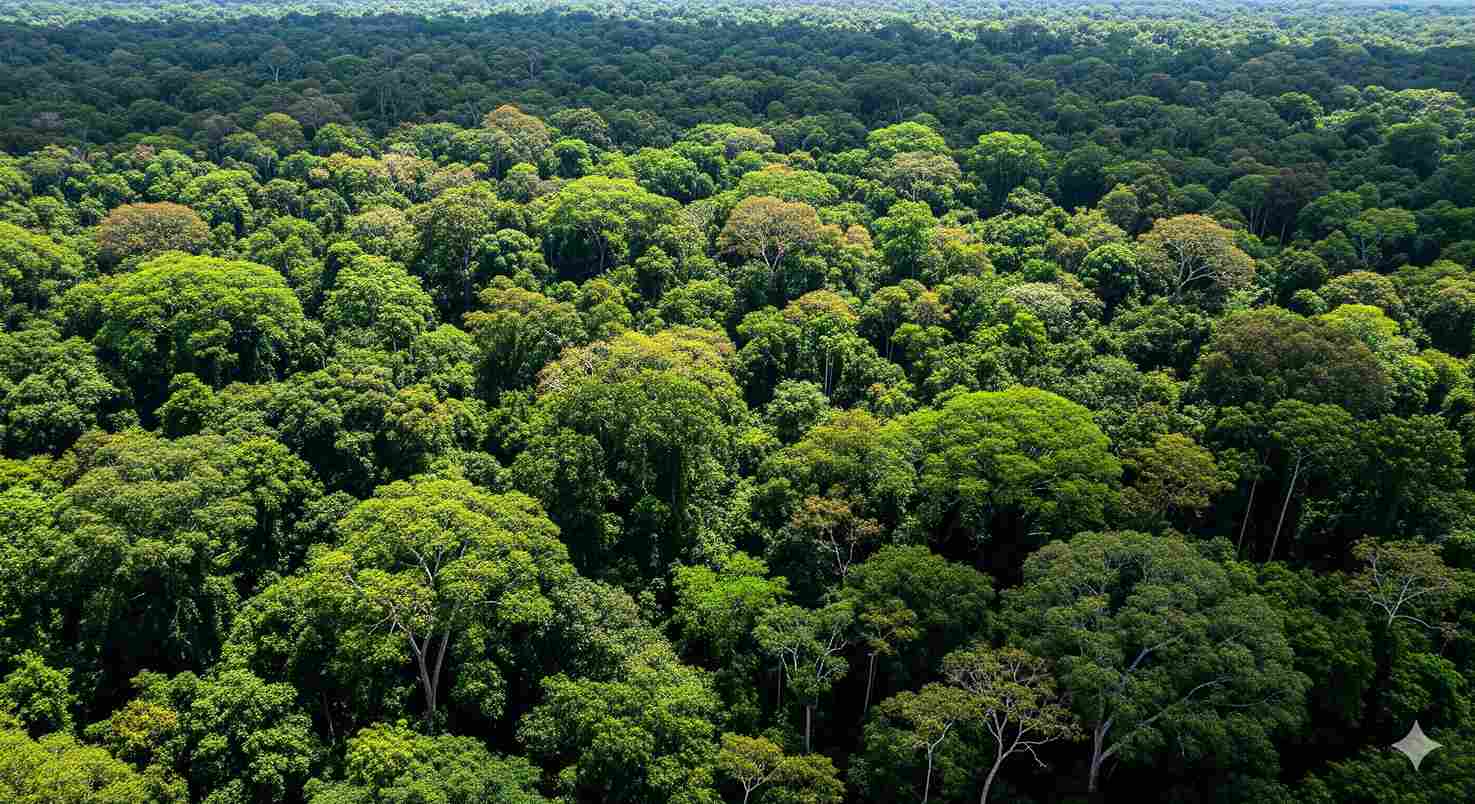 Brasile pronto a proporre un nuovo forum per le controversie su clima e commercio