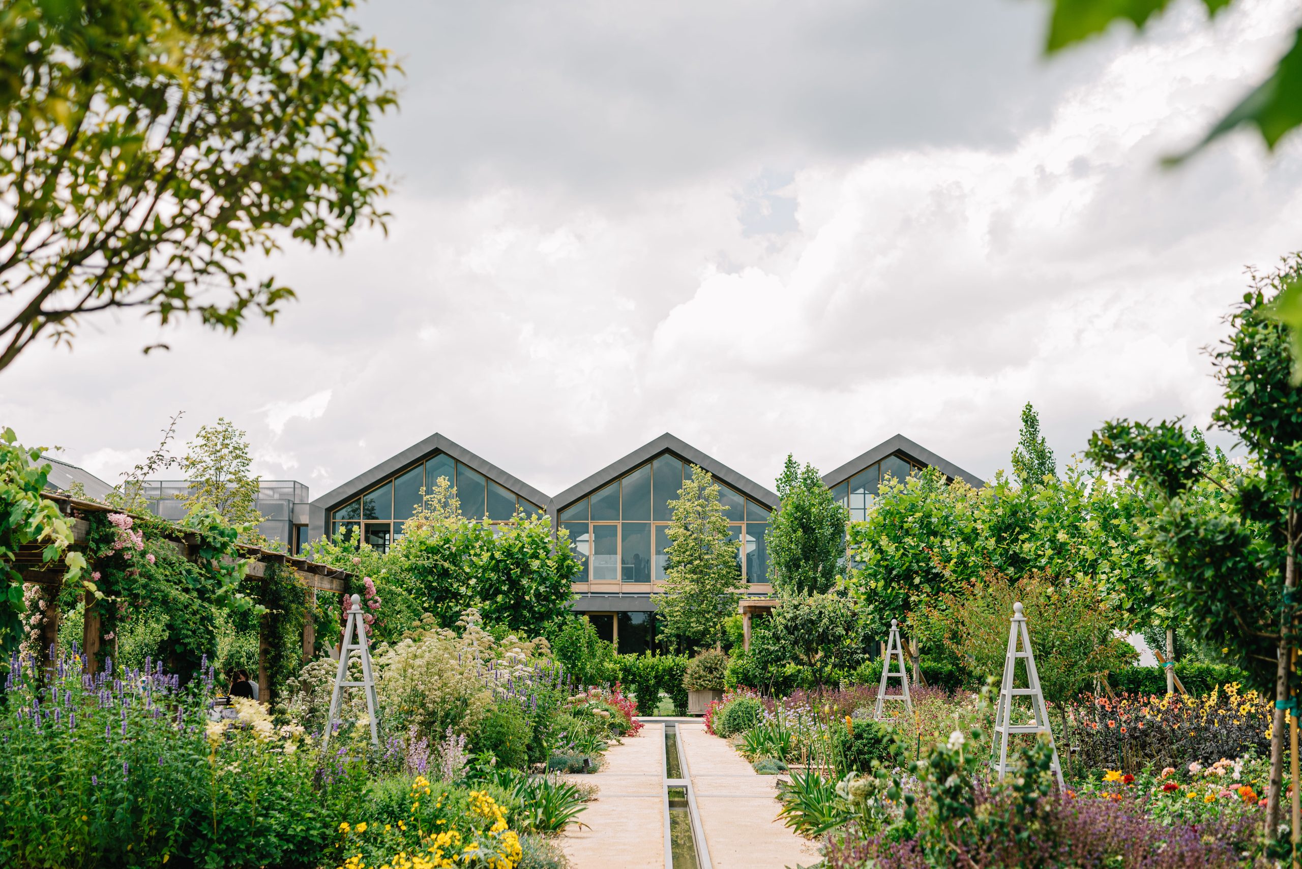 Gruppo Davines, la beauty care che nasce dall’agricoltura rigenerativa