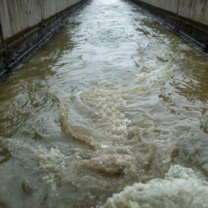Rinnovabili • Bioraffinerie per il recupero di acqua, nutrienti ed energia dai fanghi di depurazione