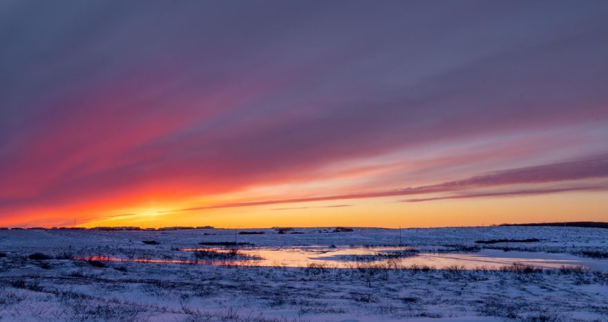 Rinnovabili • Scioglimento del permafrost e distruzione dell’ecosistema