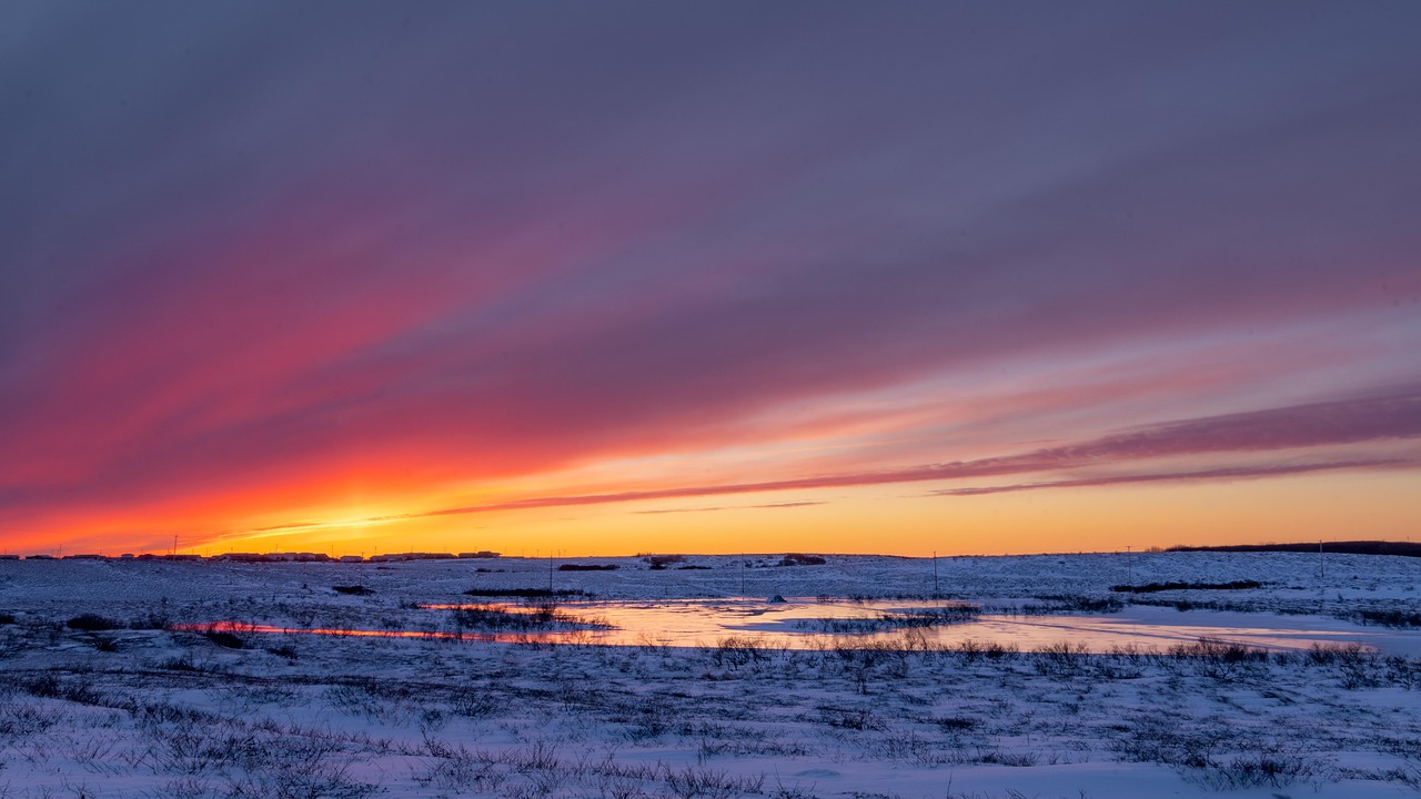 Scioglimento del permafrost e distruzione dell’ecosistema