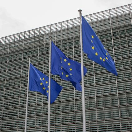Rinnovabili • Accordo di libero scambio UE-Mercosur, le perplessità del mondo agricolo