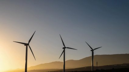 Rinnovabili • Perché l'eolico in Europa sta rallentando?