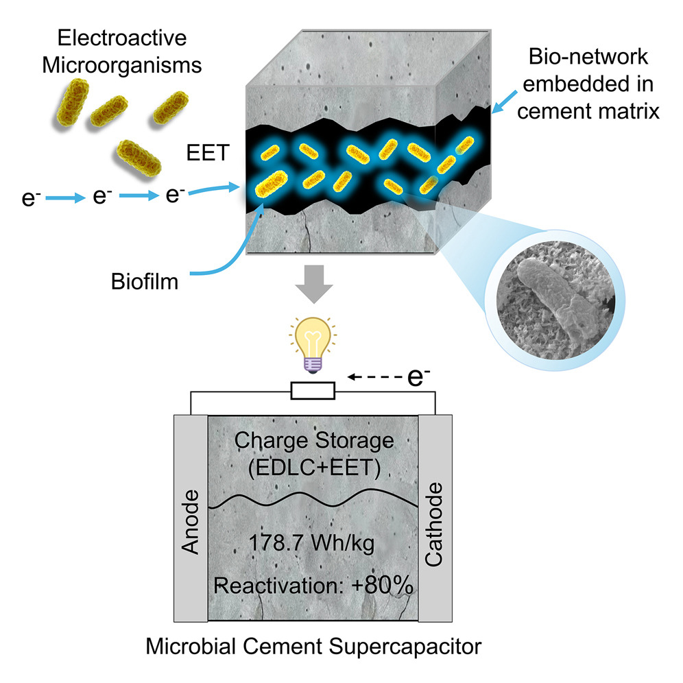 supercondensatore bioibrido
