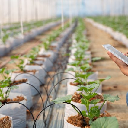 Rinnovabili • A che punto è la digitalizzazione dell’agricoltura nell’Unione Europea?