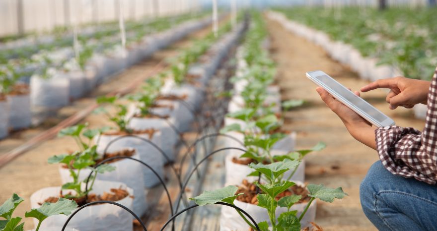 Rinnovabili • A che punto è la digitalizzazione dell’agricoltura nell’Unione Europea?