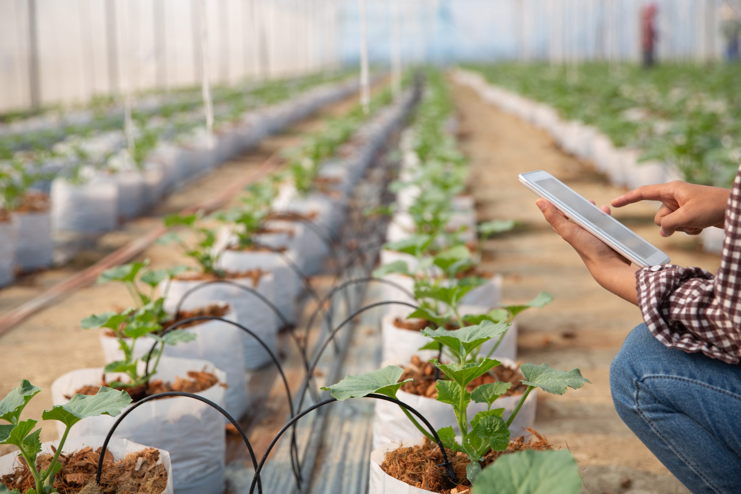 A che punto è la digitalizzazione dell’agricoltura nell’Unione Europea?