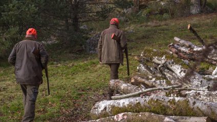 Rinnovabili • DDL Caccia, 55 Associazioni si appellano ai parlamentari