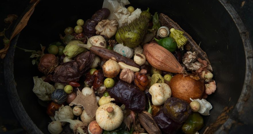 Rinnovabili • La nuova direttiva UE per la riduzione dei rifiuti alimentari