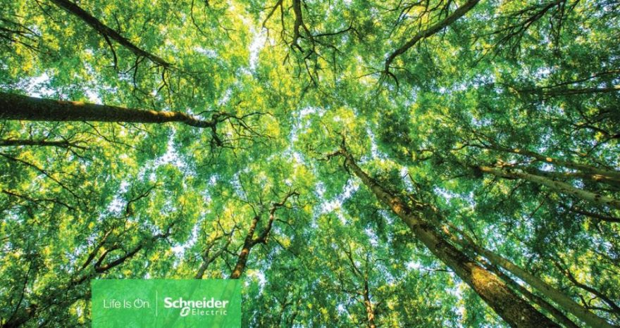 Rinnovabili • Schneider Electric al primo posto della classifica Gartner®Top 25 Supply Chain per il terzo anno consecutivo