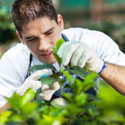 Rinnovabili • Servizio Civile Agricolo, un’esperienza formativa per ragazzi dai 18 ai 28 anni