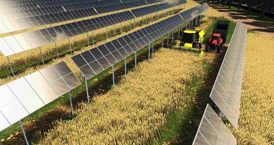 Rinnovabili • Fotovoltaico a terra in Italia, quadruplicato il consumo di suolo.