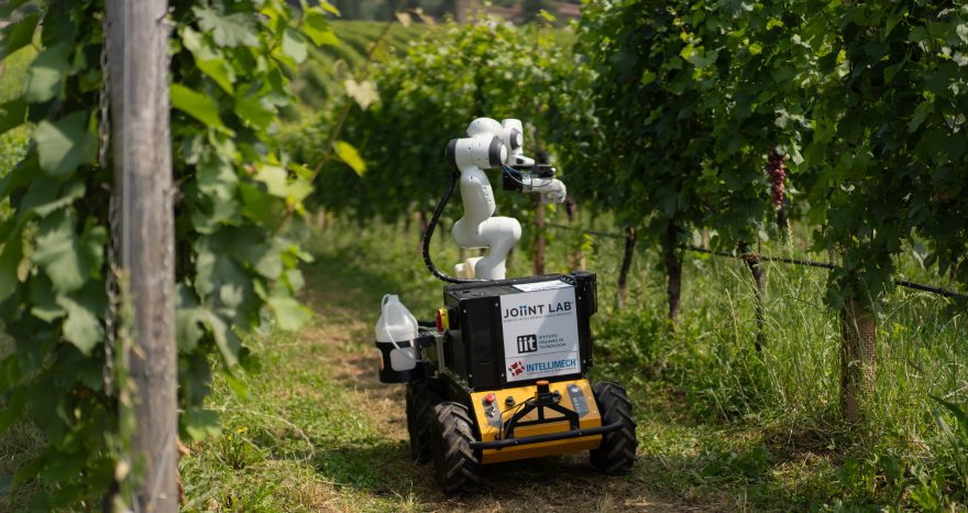 Rinnovabili • Frasky, modelli sempre più avanzati di agricoltura di precisione nelle vigne