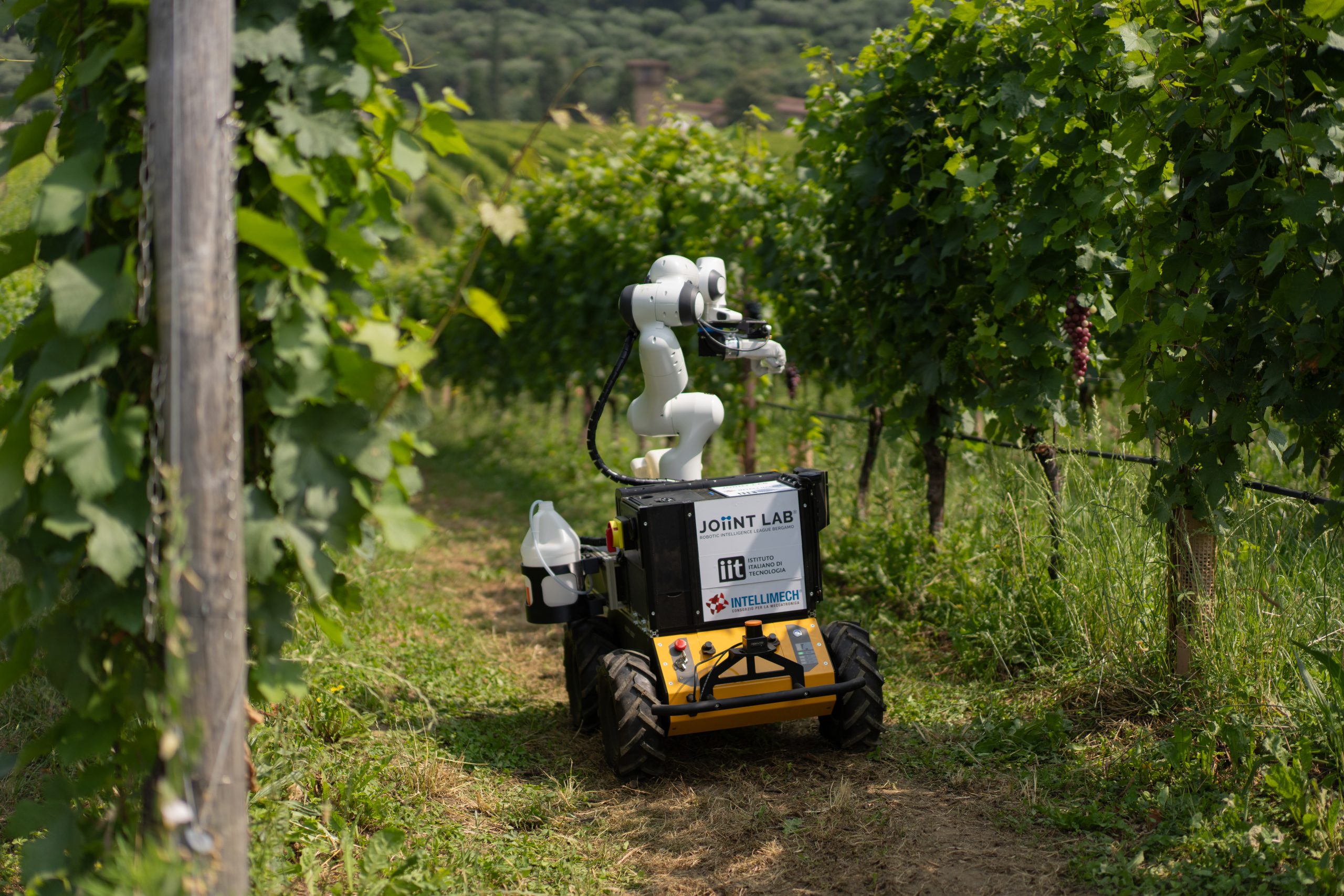 Frasky, modelli sempre più avanzati di agricoltura di precisione nelle vigne
