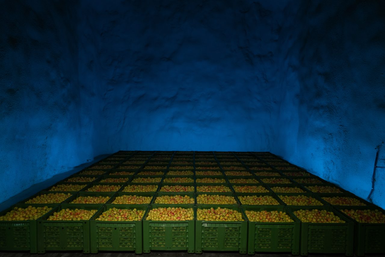 Rinnovabili • Melinda, l’innovazione protegge l’ambiente e valorizza il territorio