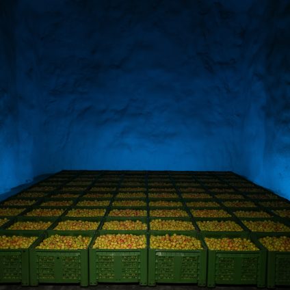 Rinnovabili • Melinda, l’innovazione protegge l’ambiente e valorizza il territorio