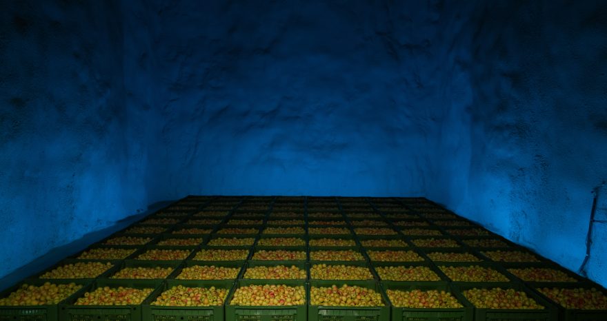 Rinnovabili • Melinda, l’innovazione protegge l’ambiente e valorizza il territorio