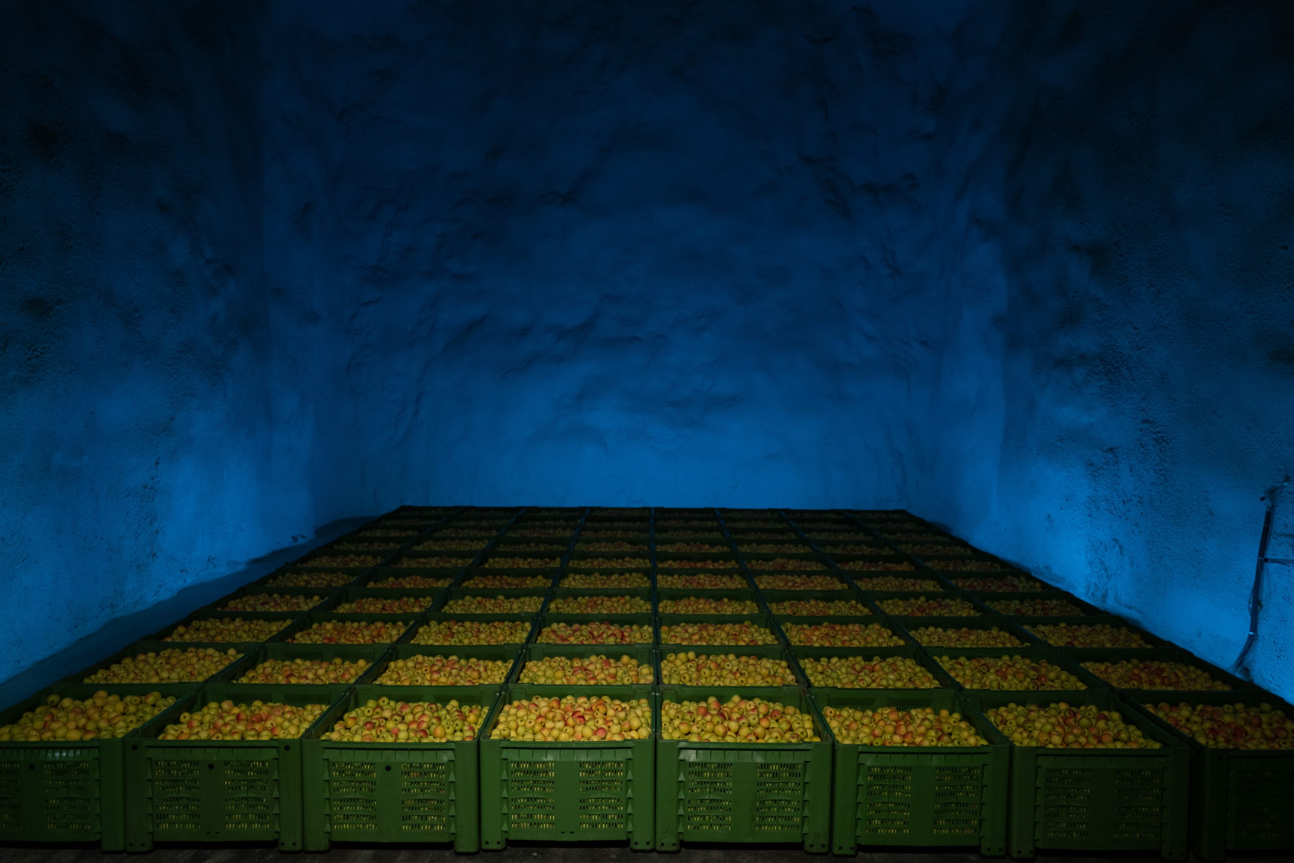 Melinda, innovazione sostenibile: dalle celle ipogee alla funivia delle mele ad energia green