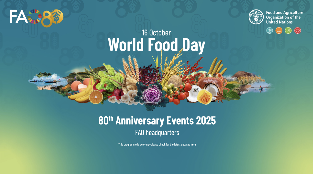 Rinnovabili • Giornata Mondiale dell’Alimentazione 2025, tra cambiamento climatico, guerre e scarsa consapevolezza