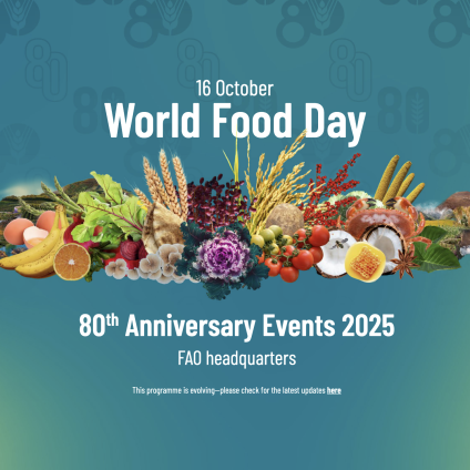 Rinnovabili • Giornata Mondiale dell’Alimentazione 2025, tra cambiamento climatico, guerre e scarsa consapevolezza