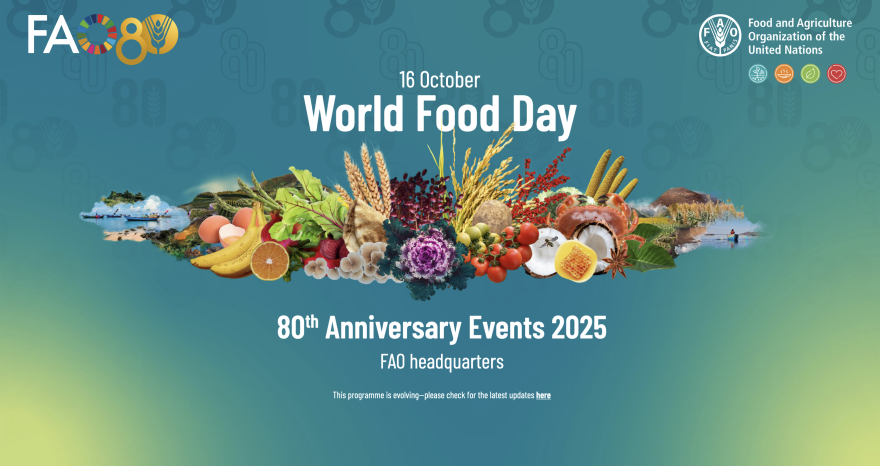 Rinnovabili • Giornata Mondiale dell’Alimentazione 2025, tra cambiamento climatico, guerre e scarsa consapevolezza