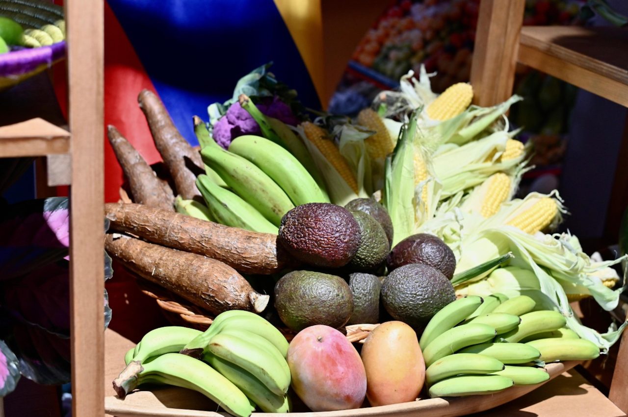 Rinnovabili • Mercati contadini, una rete mondiale di 28mila realtà che difendono la biodiversità