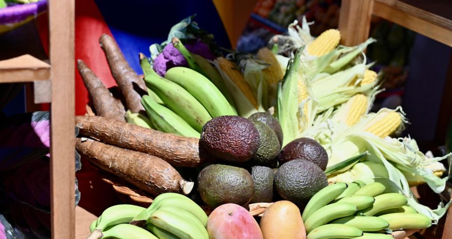 Rinnovabili • Mercati contadini, una rete mondiale di 28mila realtà che difendono la biodiversità