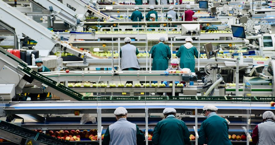Rinnovabili • CREA: agricoltura e industria agroalimentare guidano la ripresa economica