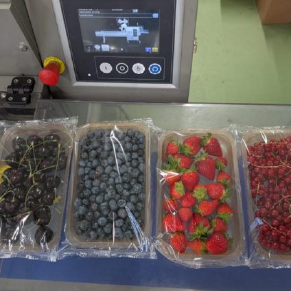 Rinnovabili • Dalla buccia delle patate, contenitori in plastica compostabili: l'idea di PeelPack