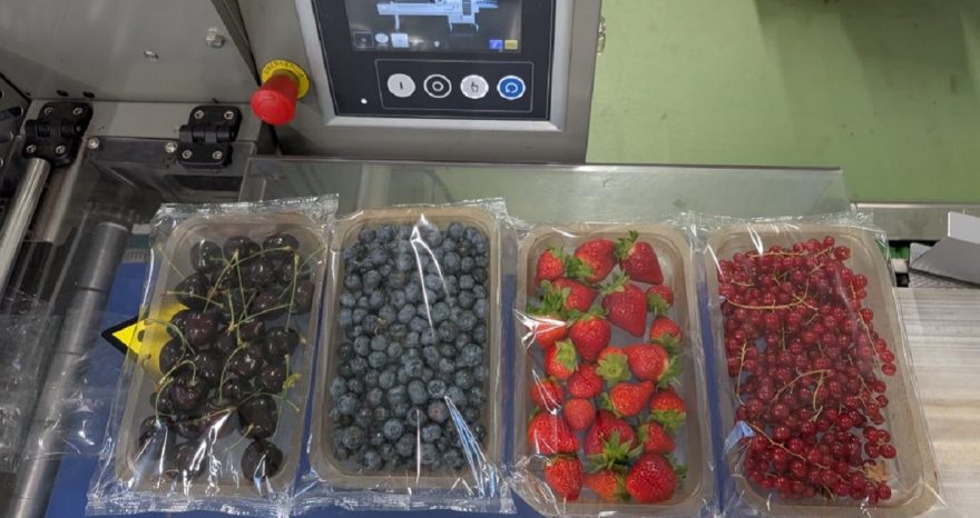 Rinnovabili • Dalla buccia delle patate, contenitori in plastica compostabili: l'idea di PeelPack