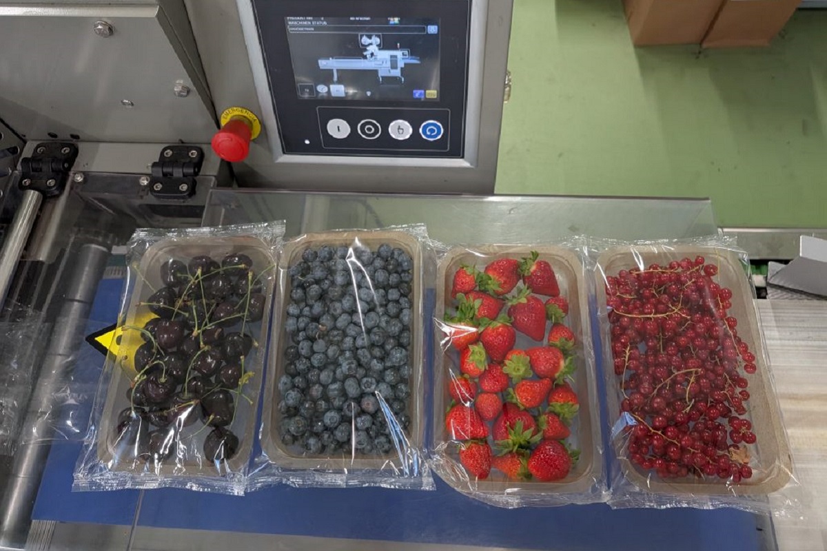 Dalla buccia delle patate, contenitori in plastica compostabili: l'idea di PeelPack