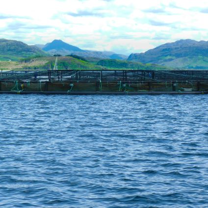 Rinnovabili • Acquacoltura sostenibile? Il progetto di un impianto innovativo per l’allevamento ittico