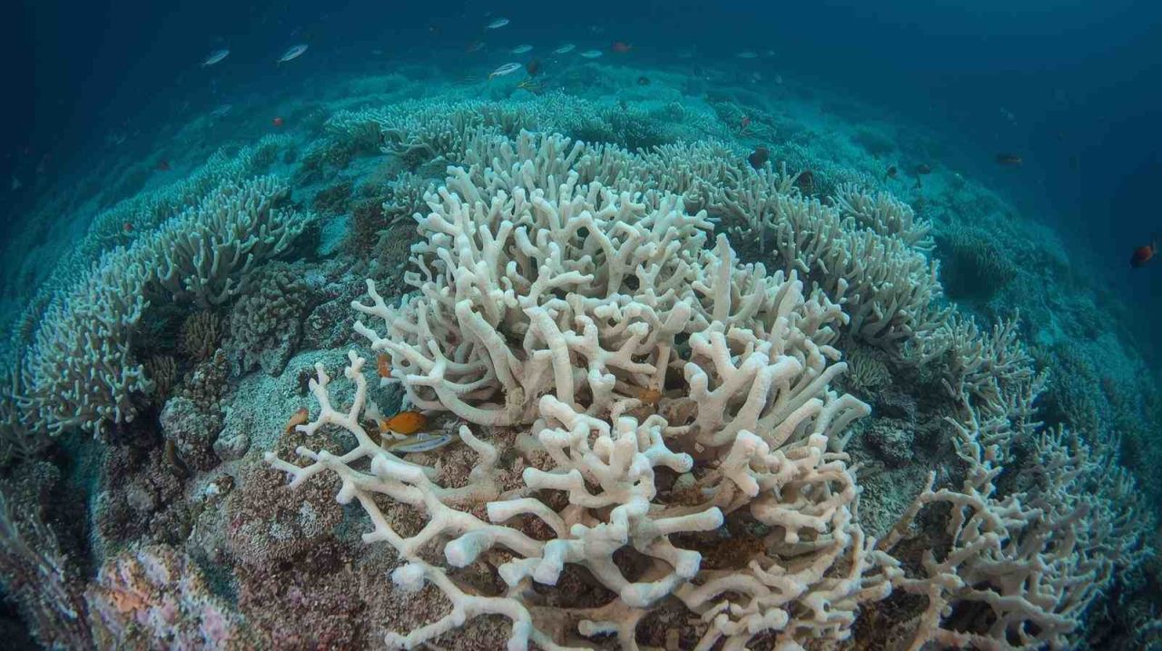 Rinnovabili • primo-punto-di-non-ritorno-climatico