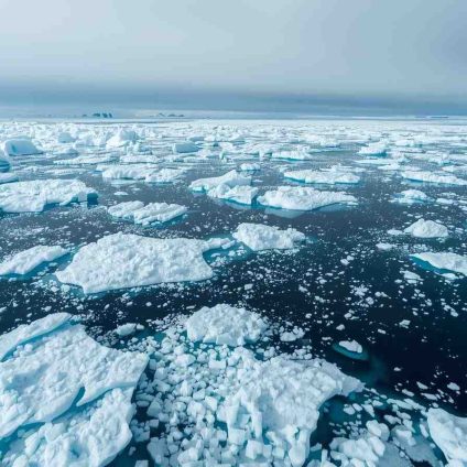 Rinnovabili • ghiaccio-marino-antartico