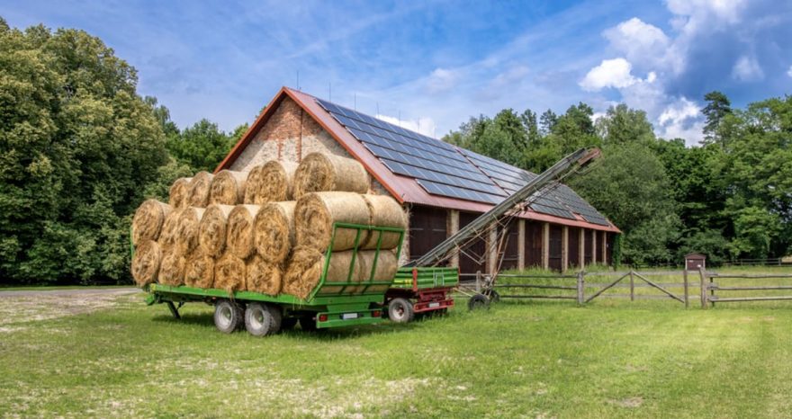 Rinnovabili • Parco Agrisolare, come cambiano le modalità di rendicontazione?